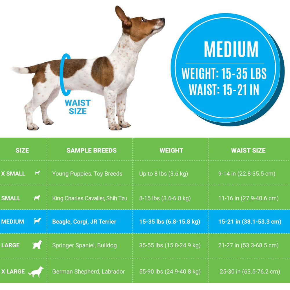 Bodhi Dog disposable male diapers wetness indicator stripes for easy changes.