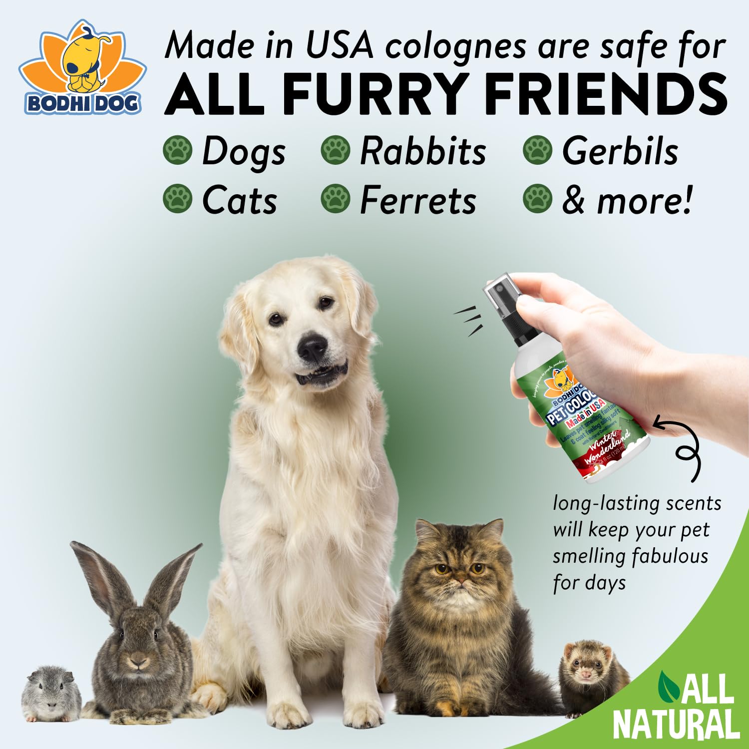 Bodhi Dog family-owned brand logo signaling ethical, USA-made commitment