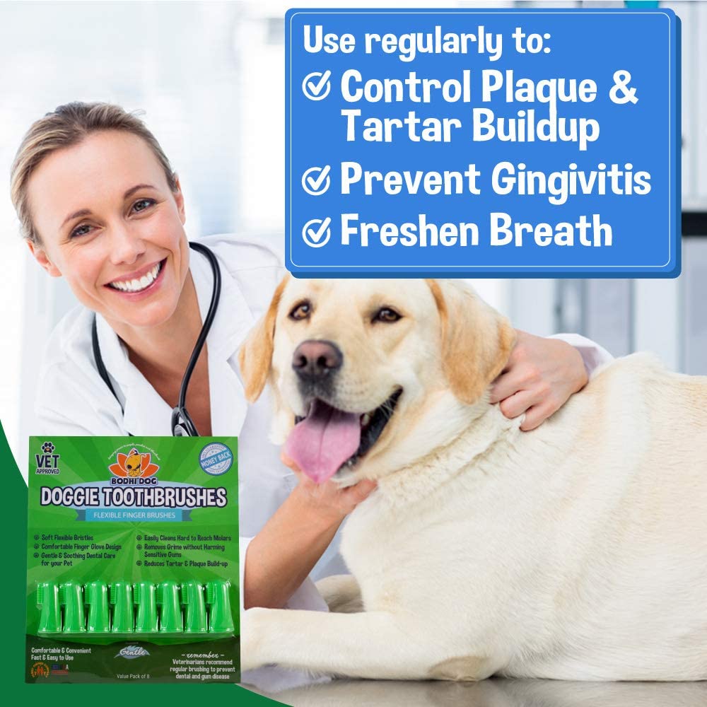 Bodhi Dog finger brush eight-count packaging for at-home dental care.