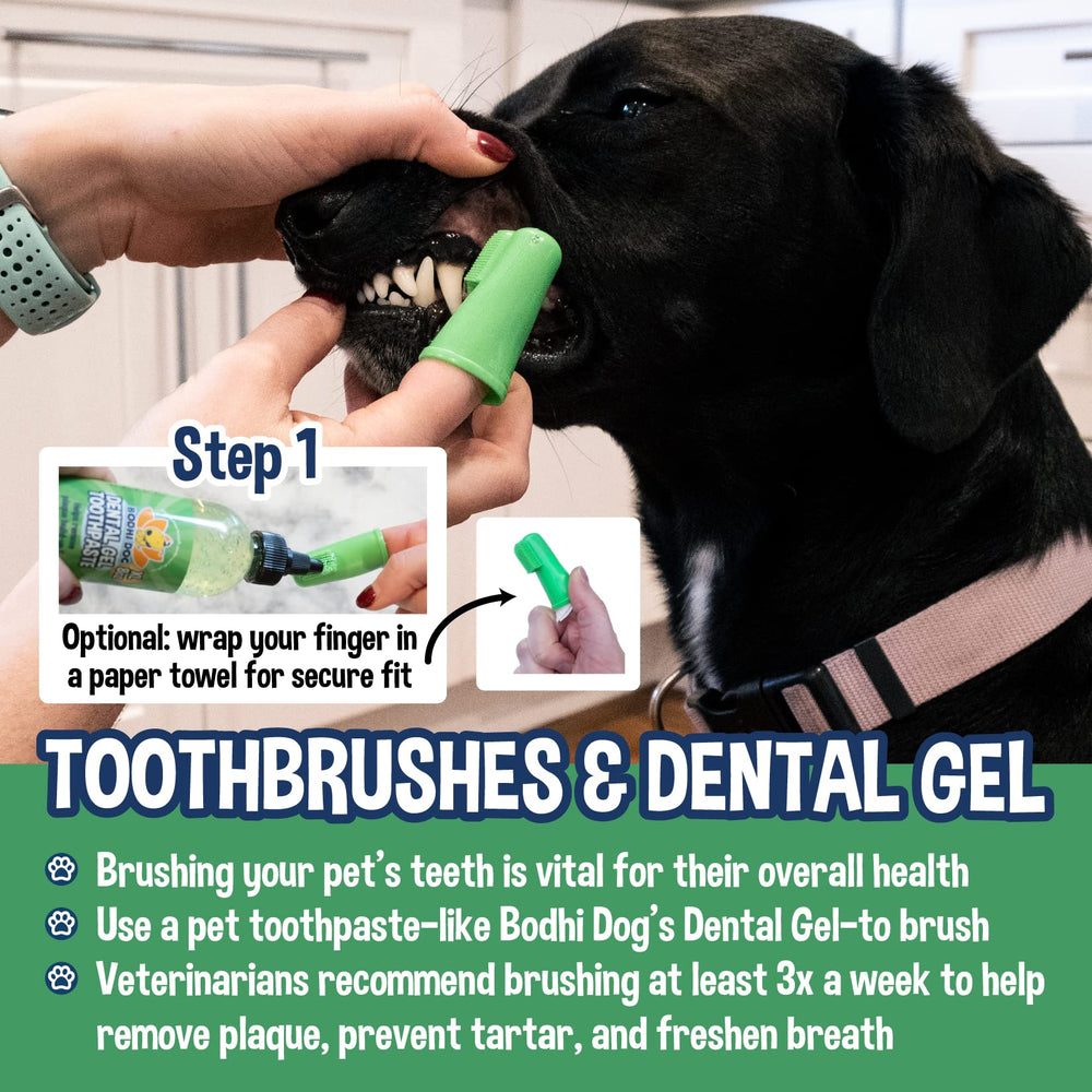 Bodhi Dog finger brush close-up highlighting premium materials for dental care.