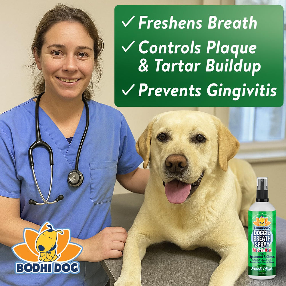 Bodhi Dog ingredients label featuring baking soda honey cloves and spearmint