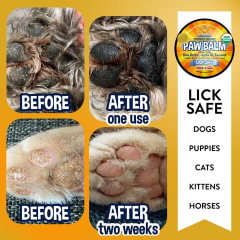 Bodhi Dog Paw Balm ingredients panel featuring shea and jojoba for moisturized paws.