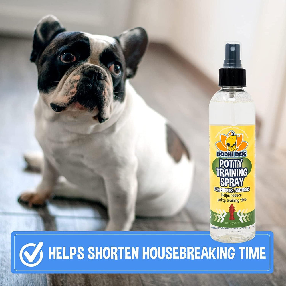 Bodhi Dog Potty Spray on artificial grass for indoor cues.