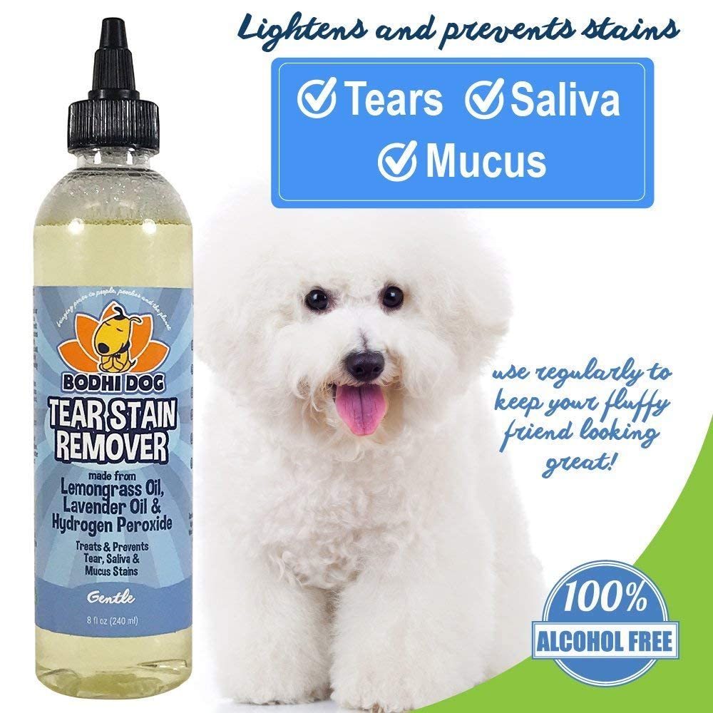 Bodhi Dog Tear Stain Remover being applied with a cotton swab for precise use.