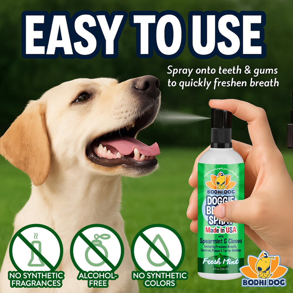 Bodhi Dog USA made packaging reflects ethical family owned production