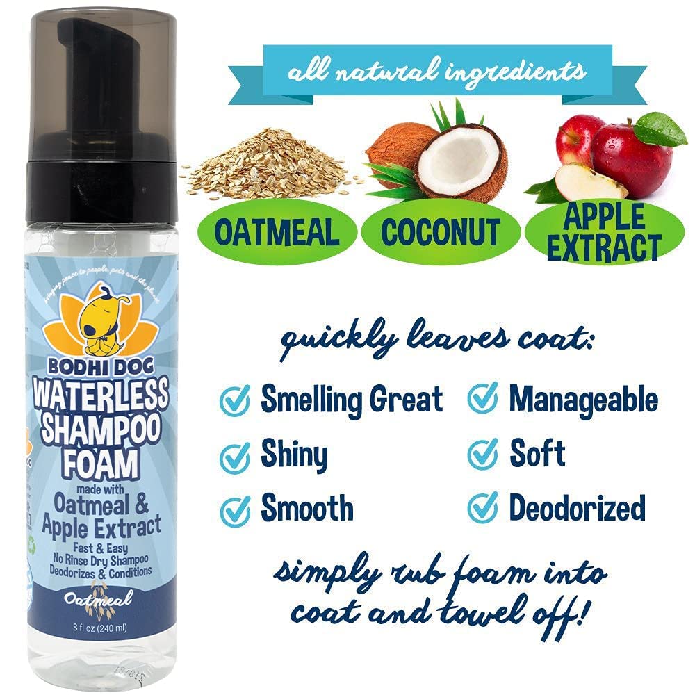 Bodhi Dog Waterless Foaming Shampoo after-use coat reveals glossy soft fur and detangler-ready texture.