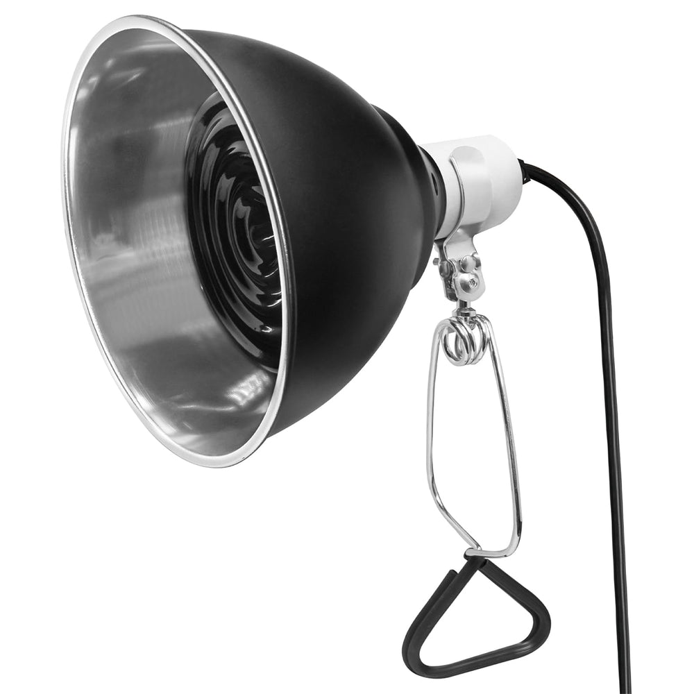 BOEESPAT dome compatibility with E26 base bulbs showcased.