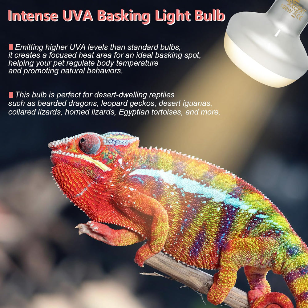 BOEESPAT Intense 100W UVA spotlight bulb filament close-up showing heat.