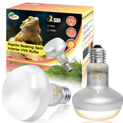 BOEESPAT Intense 100W UVA spotlight bulb front view for reptile basking.