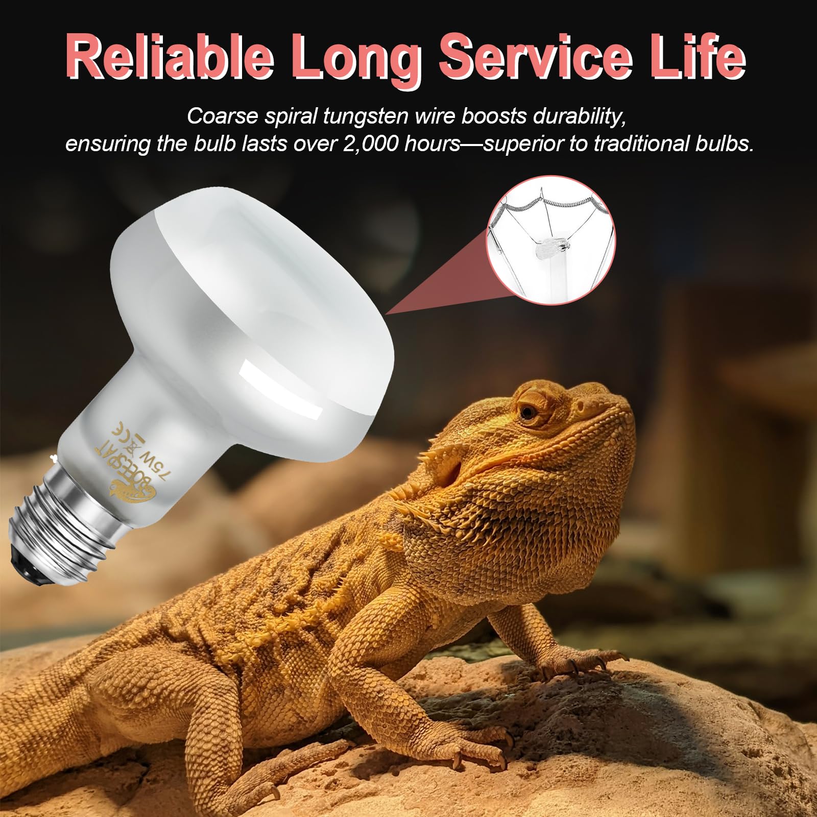 BOEESPAT Intense 100W UVA spotlight bulb pack-of-2 ready for terrariums.