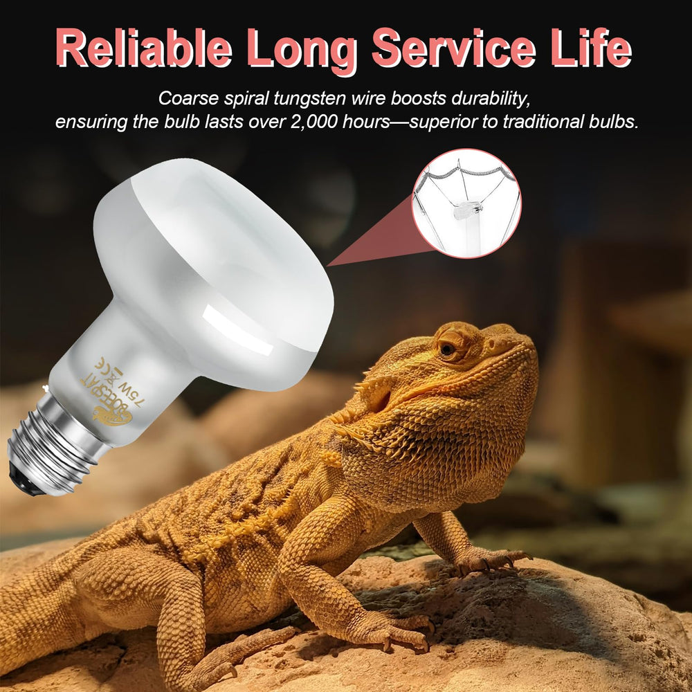 BOEESPAT Intense 100W UVA spotlight bulb pack-of-2 ready for terrariums.