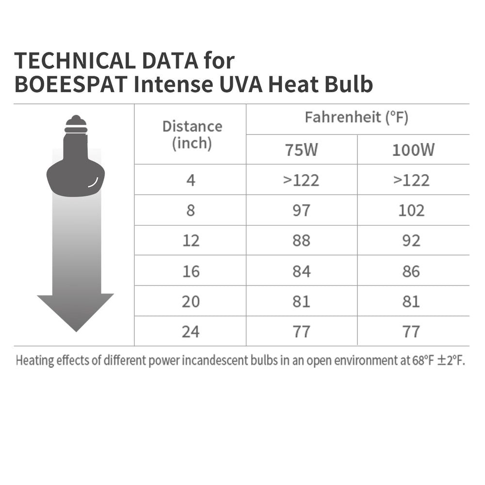 BOEESPAT Intense 100W UVA spotlight bulb terrarium-basking setup in use.