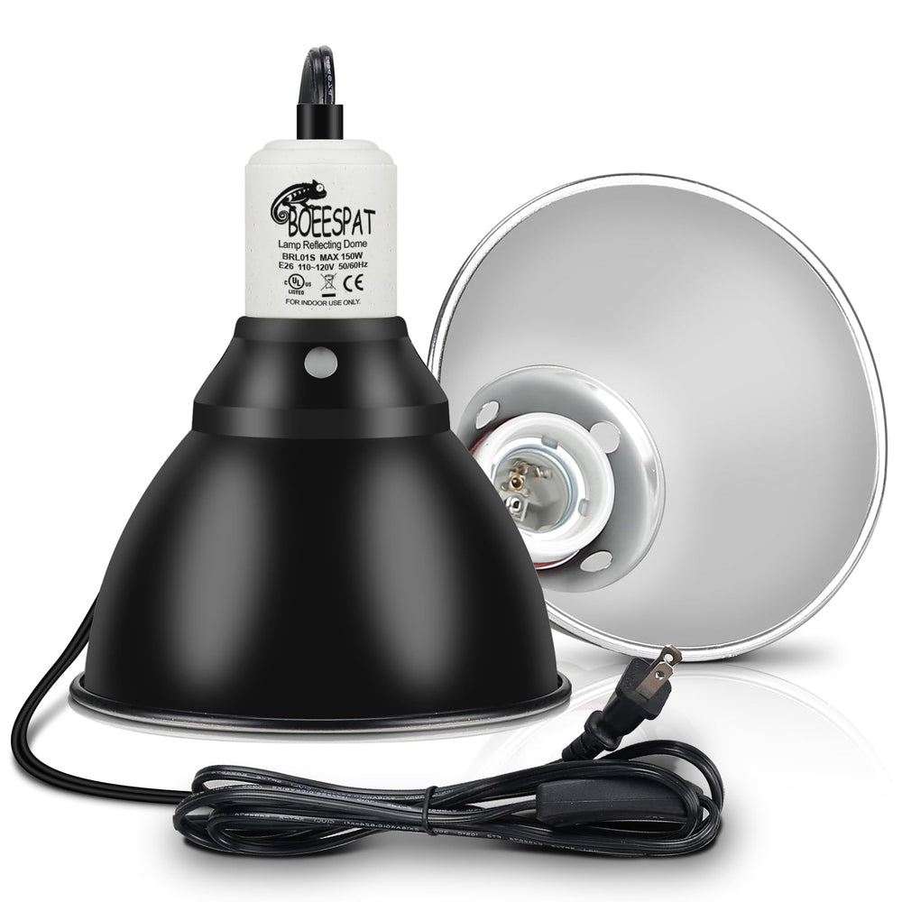 BOEESPAT terrarium-ready dome setup for reliable lighting and heat.