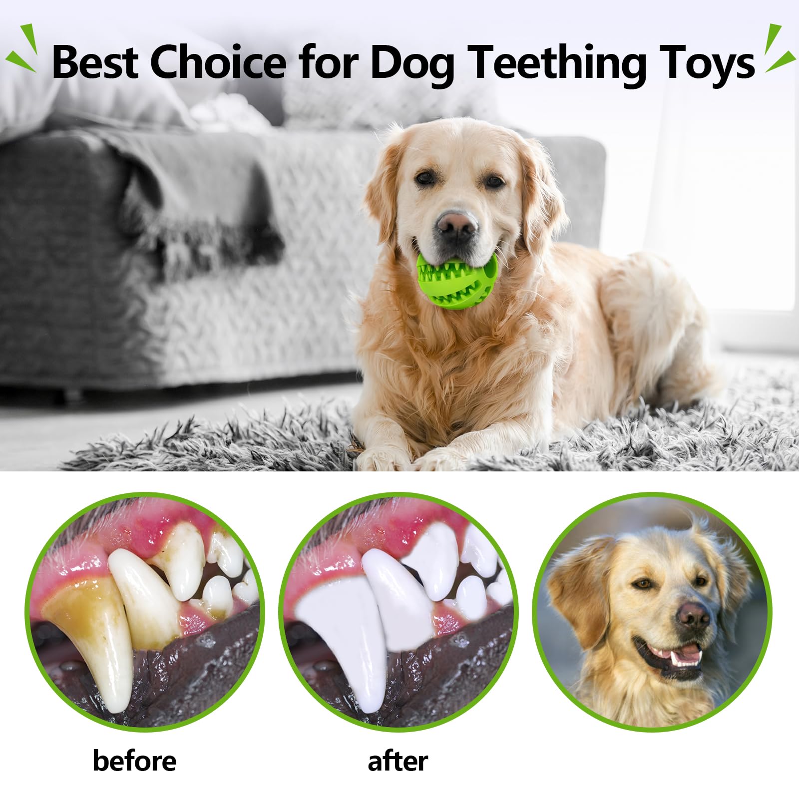 Bojafa indoor dog toy 2-pack for small to medium dogs