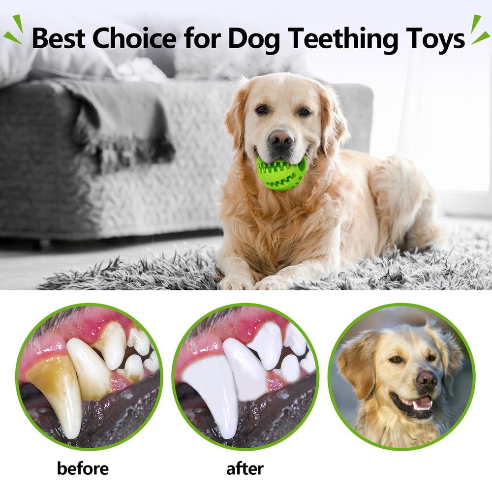 Bojafa indoor dog toy 2-pack for small to medium dogs