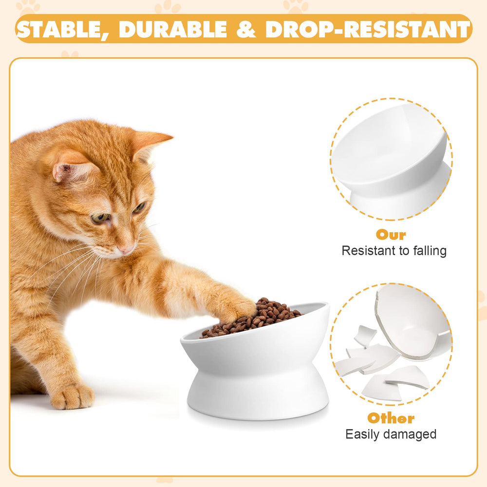 Bokon 4.88-inch diameter elevated bowls with stable base prevent tipping during meals.