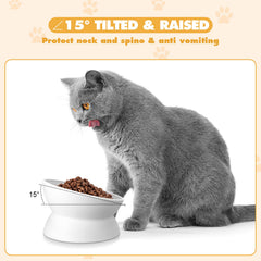 Bokon comfortable elevated bowls with low-profile rims for whisker-friendly dining.