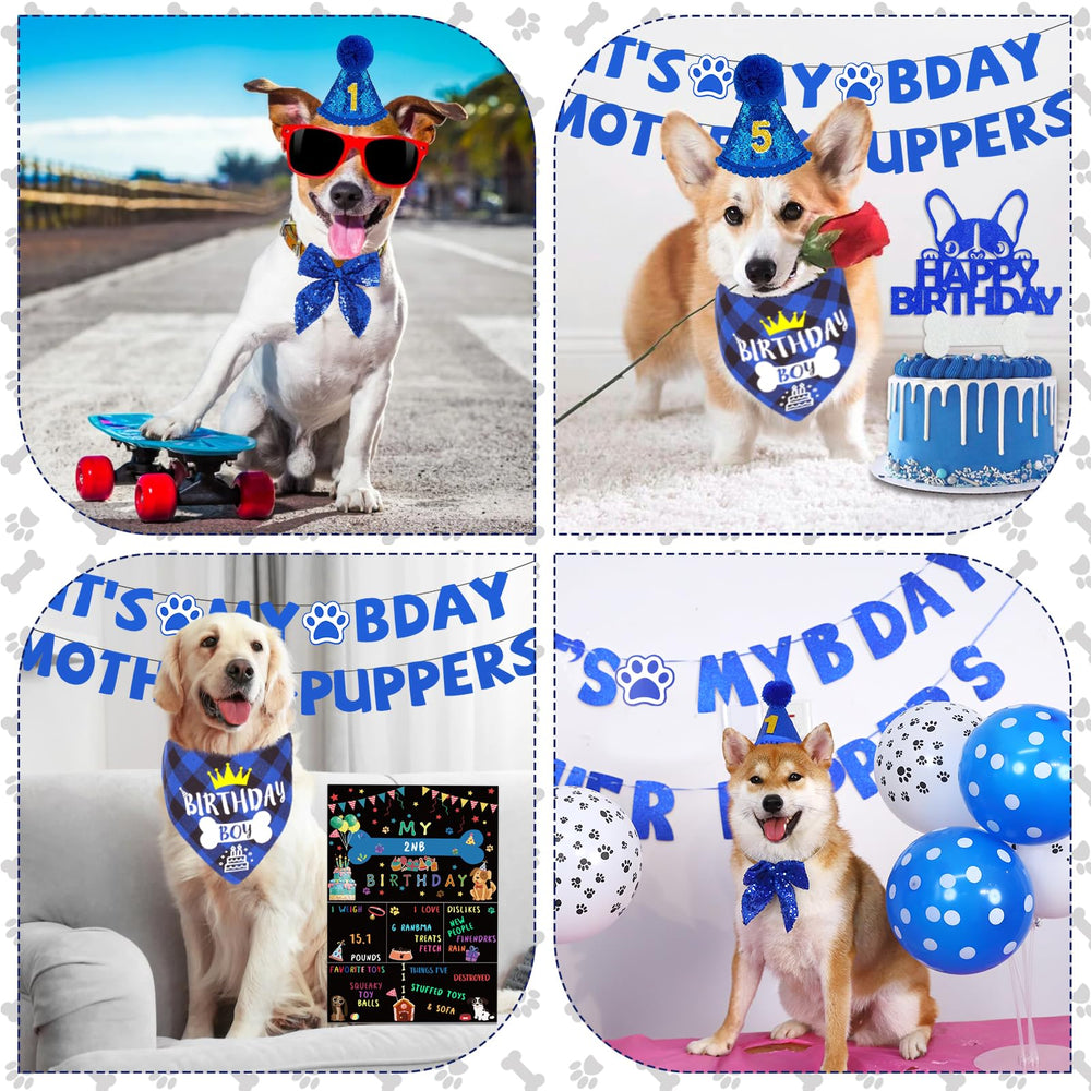 Bolake colorful greeting card for pet birthday keepsake