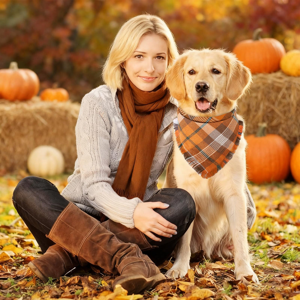 Bolake plaid design dog bandana ideal for fall photos and events