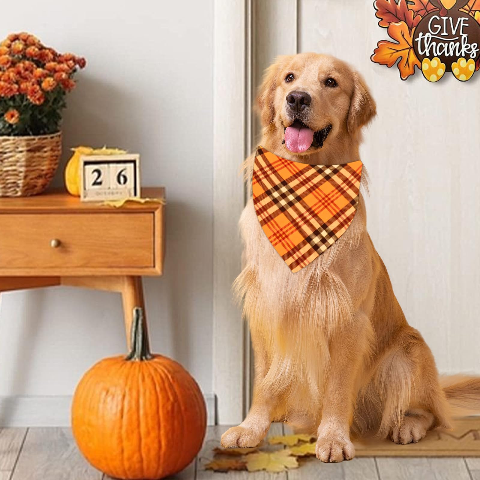 Bolake fall bandanas ready for photos and daily wear boosting pet style