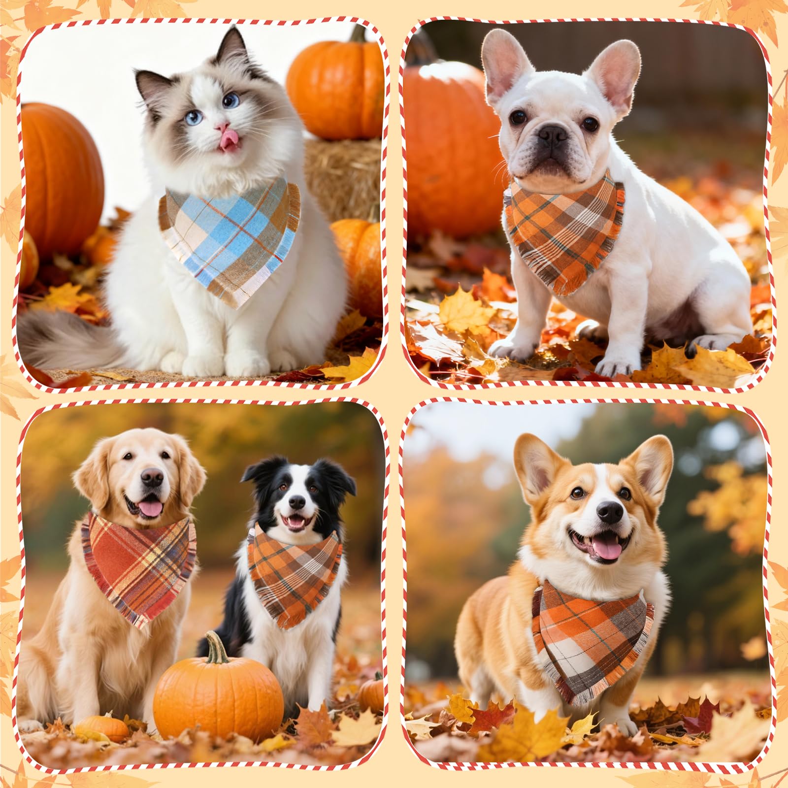 Bolake fall outfit for dogs photo-ready seasonal charm