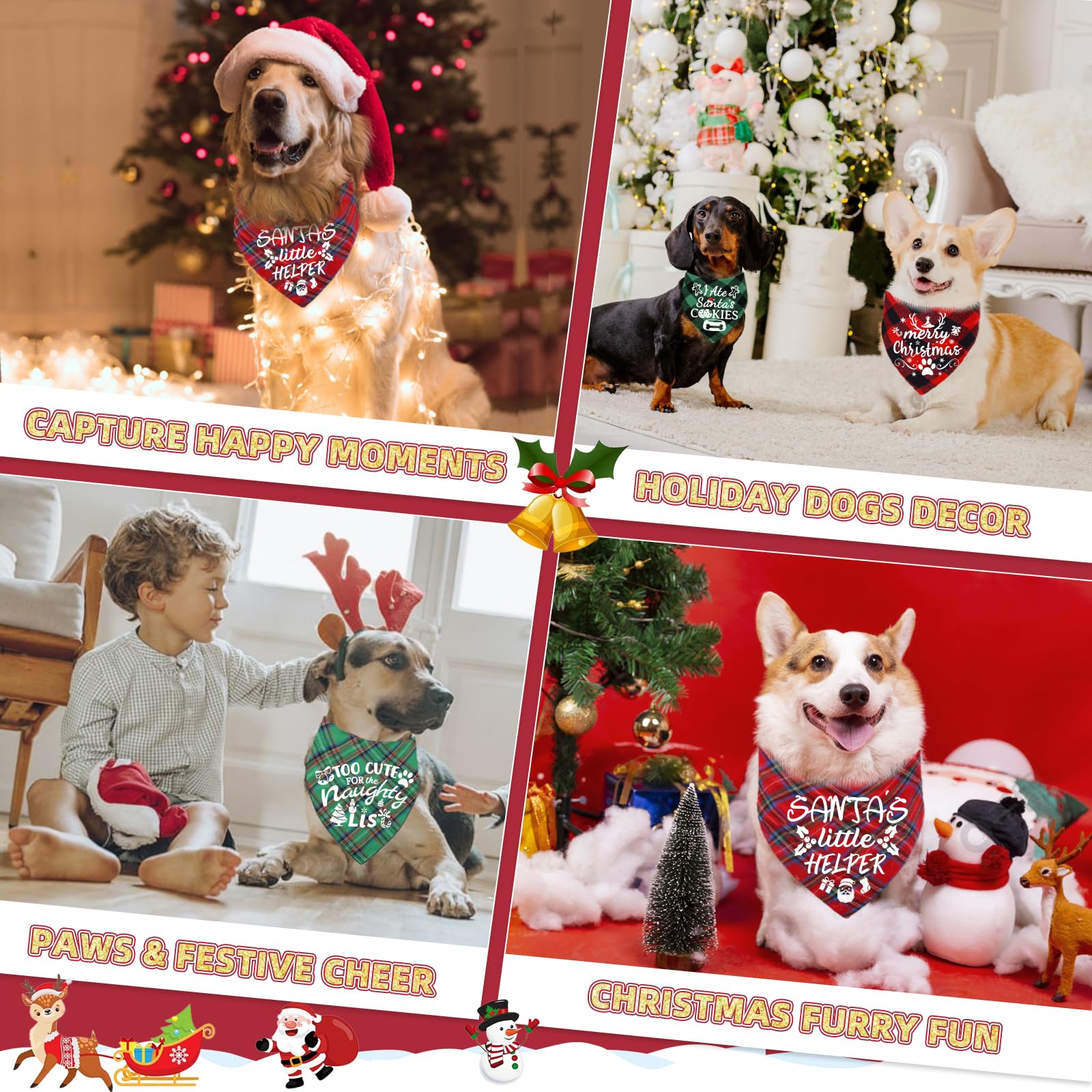 Bolake gift-ready packaging ideal for holiday gifting and surprises.