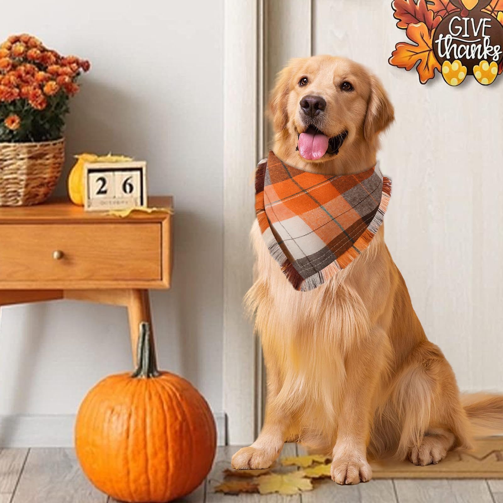 Bolake machine washable dog bandana keeps cleanup simple after adventures