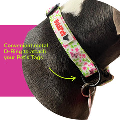 BoldPet 360-degree clasp on leash enabling smoother, tangle-free walks.