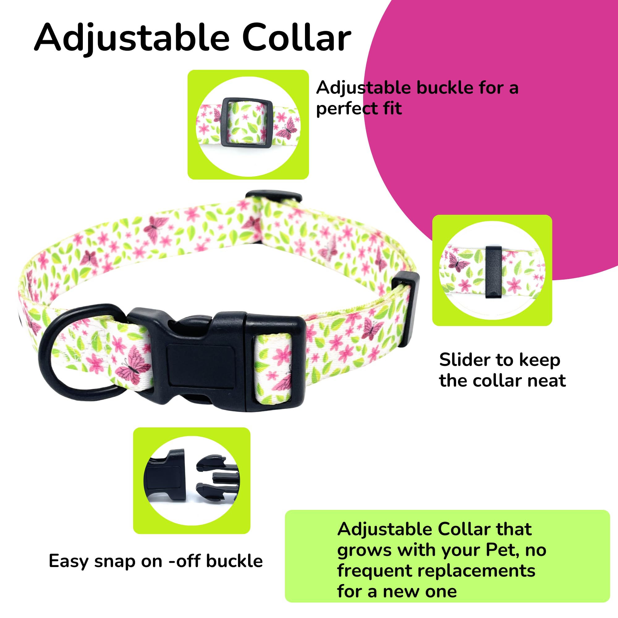 BoldPet adjustable buckle collar showing customizable neck sizing.