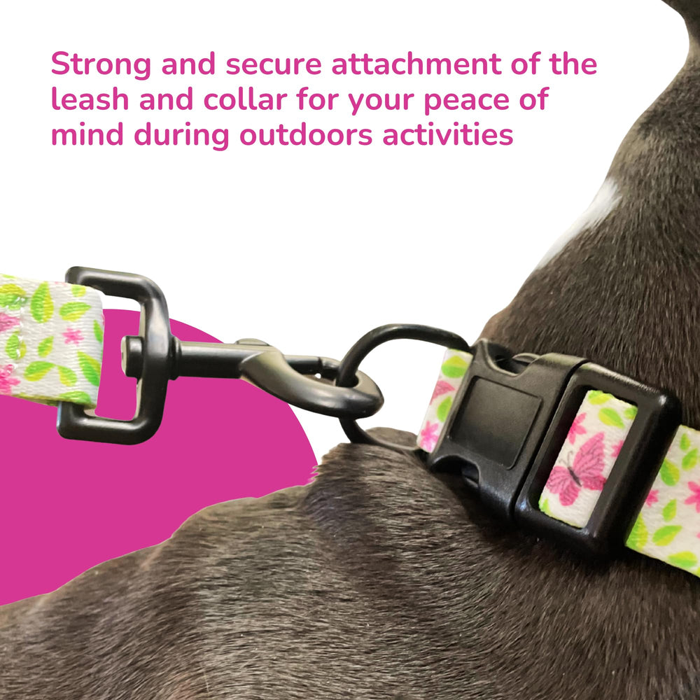 BoldPet simple care guidance using mild detergent for long-lasting gear.