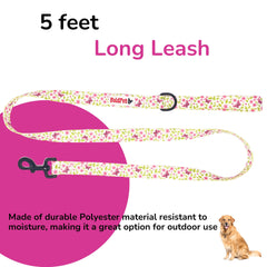 BoldPet leash with built-in D-ring for accessories and convenience.