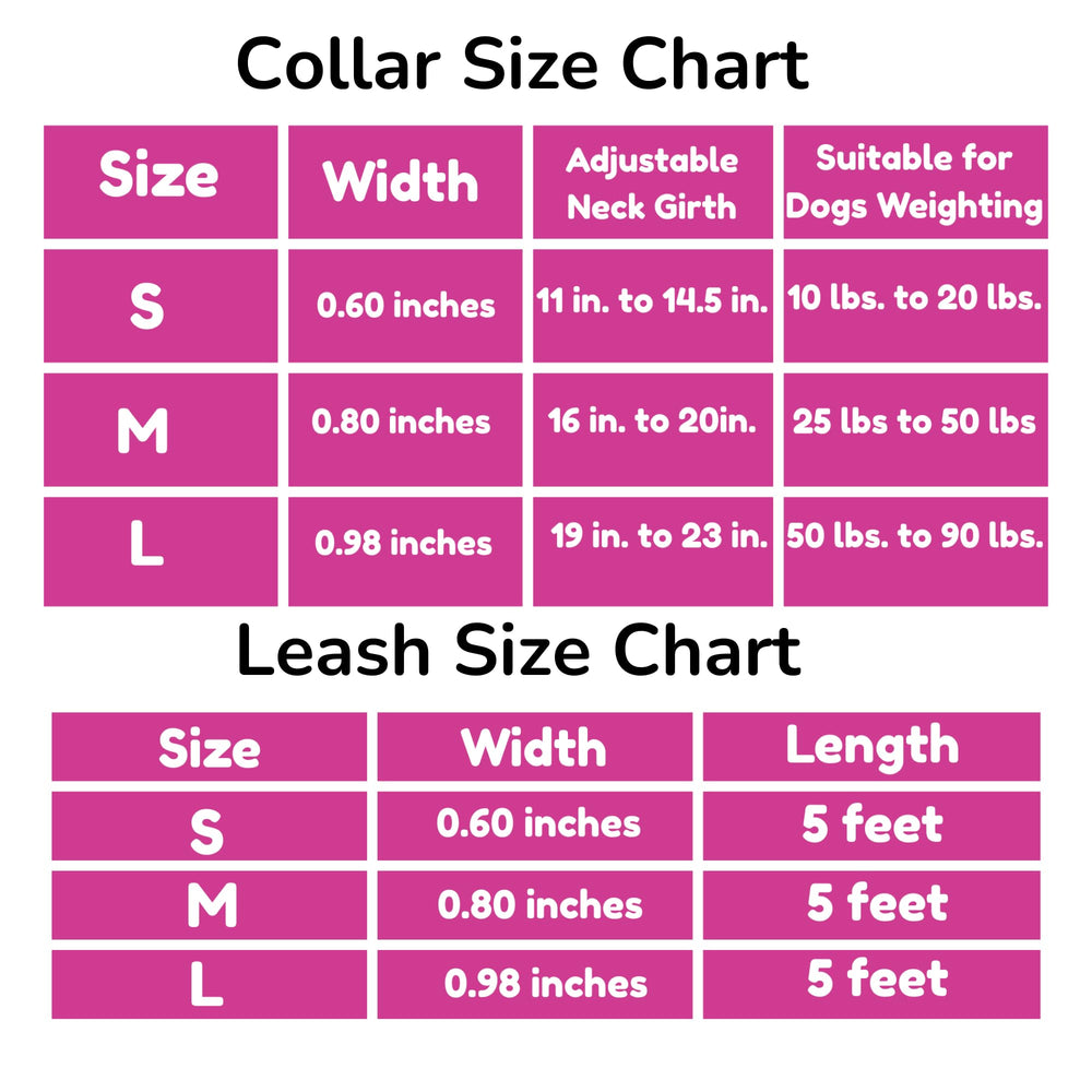 BoldPet size range accommodates small to large dogs for versatility.