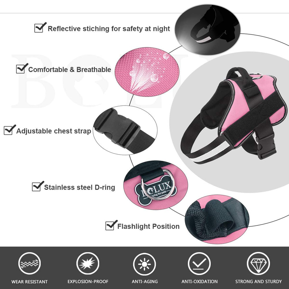 Bolux-d-ring-leash-attachment emphasizes secure leash connection for everyday training.