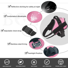 Bolux-d-ring-leash-attachment emphasizes secure leash connection for everyday training.