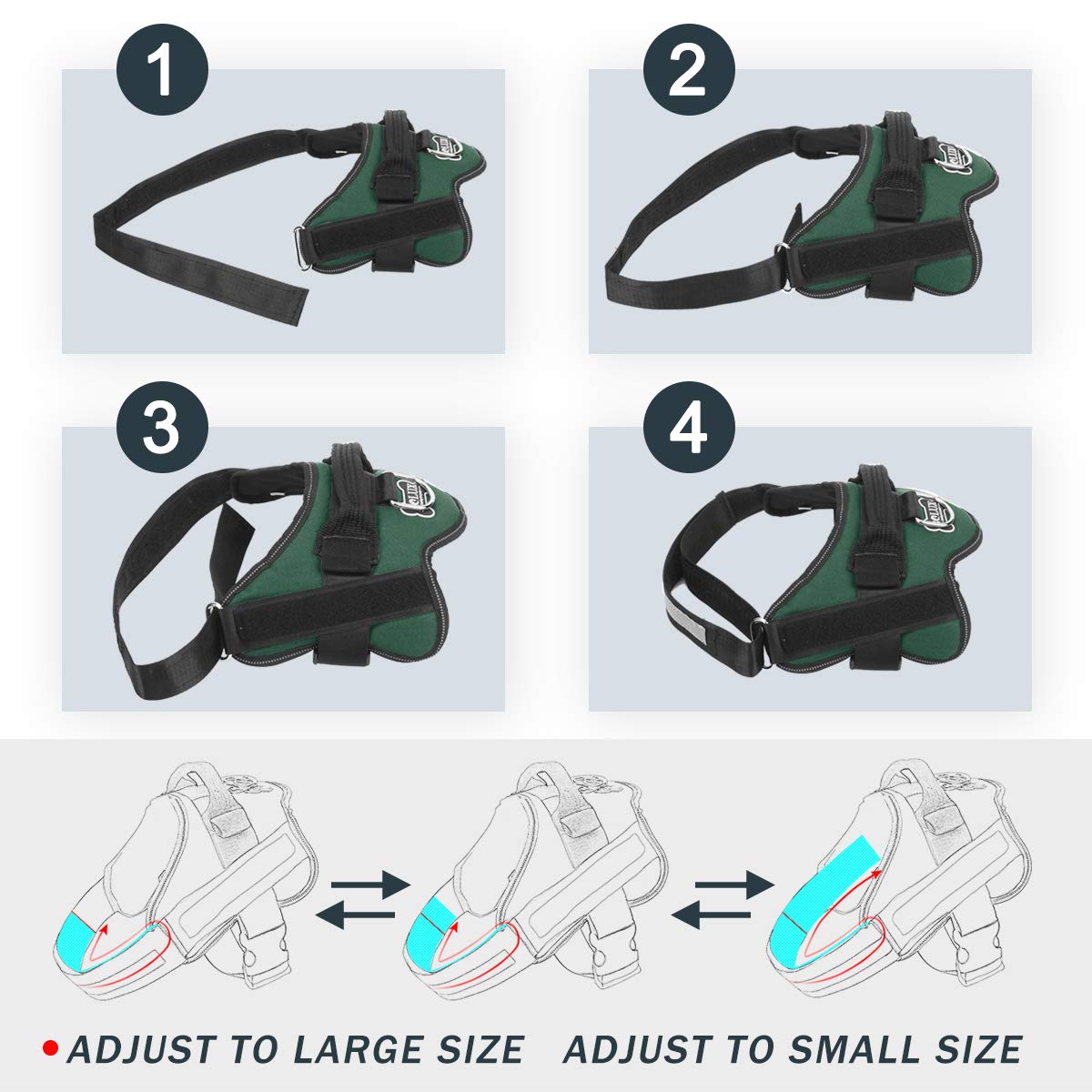 Bolux adjustable chest strap ensures a customizable fit as dogs grow.