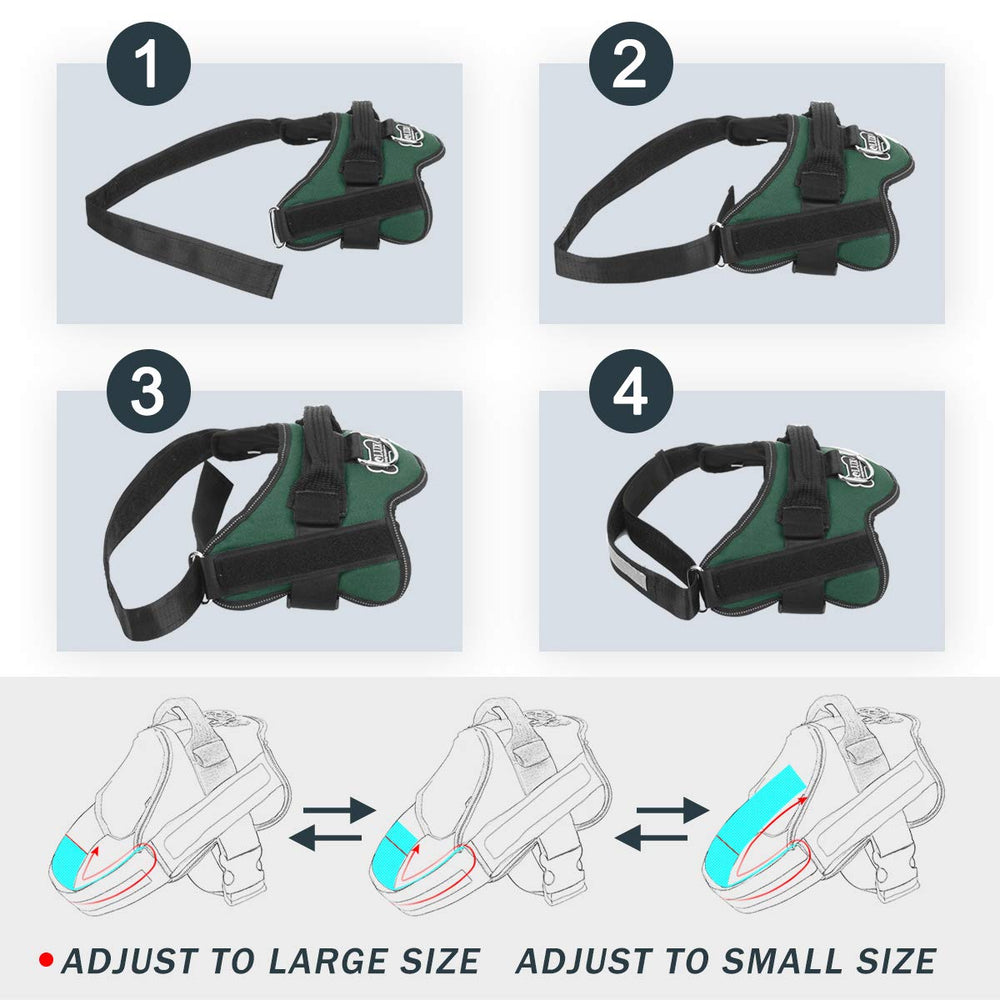Bolux adjustable chest strap ensures a customizable fit as dogs grow.