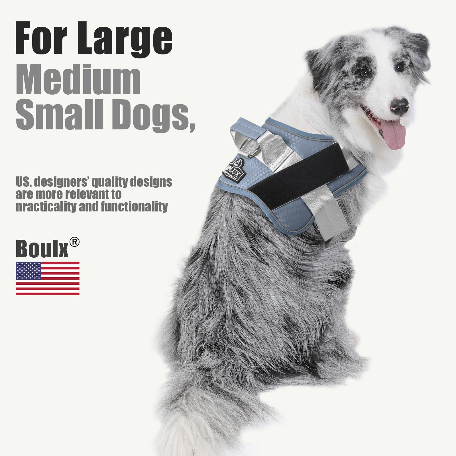 Bolux harness D-ring leash connection for easy attachment.