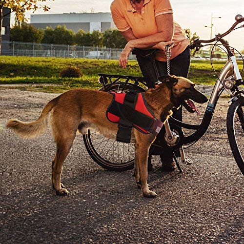 Bolux dog harness D-ring leash connection for secure walks.