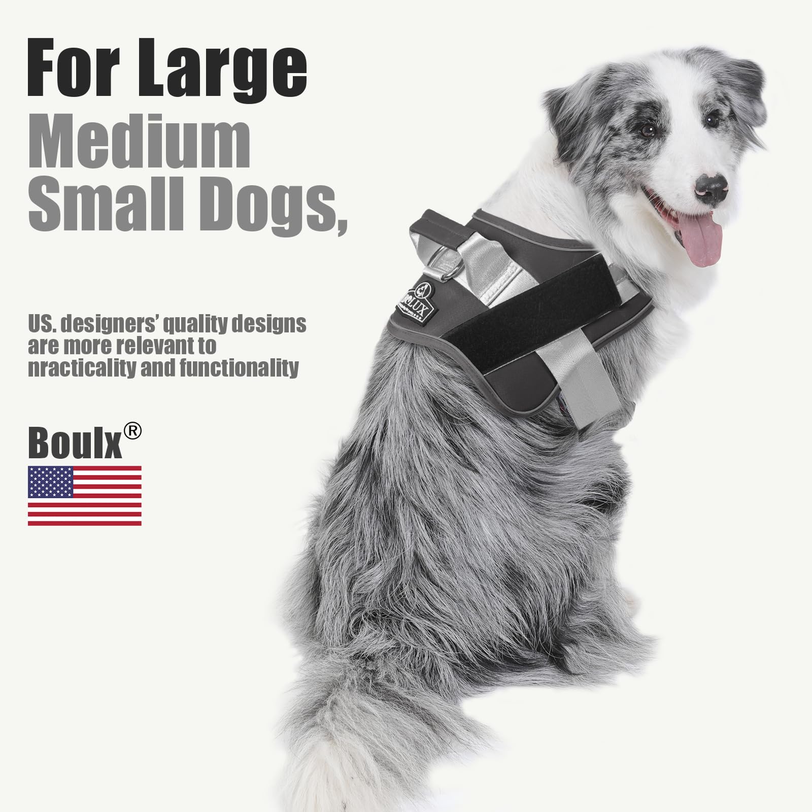 Bolux harness with D-ring leash connection for secure walking.