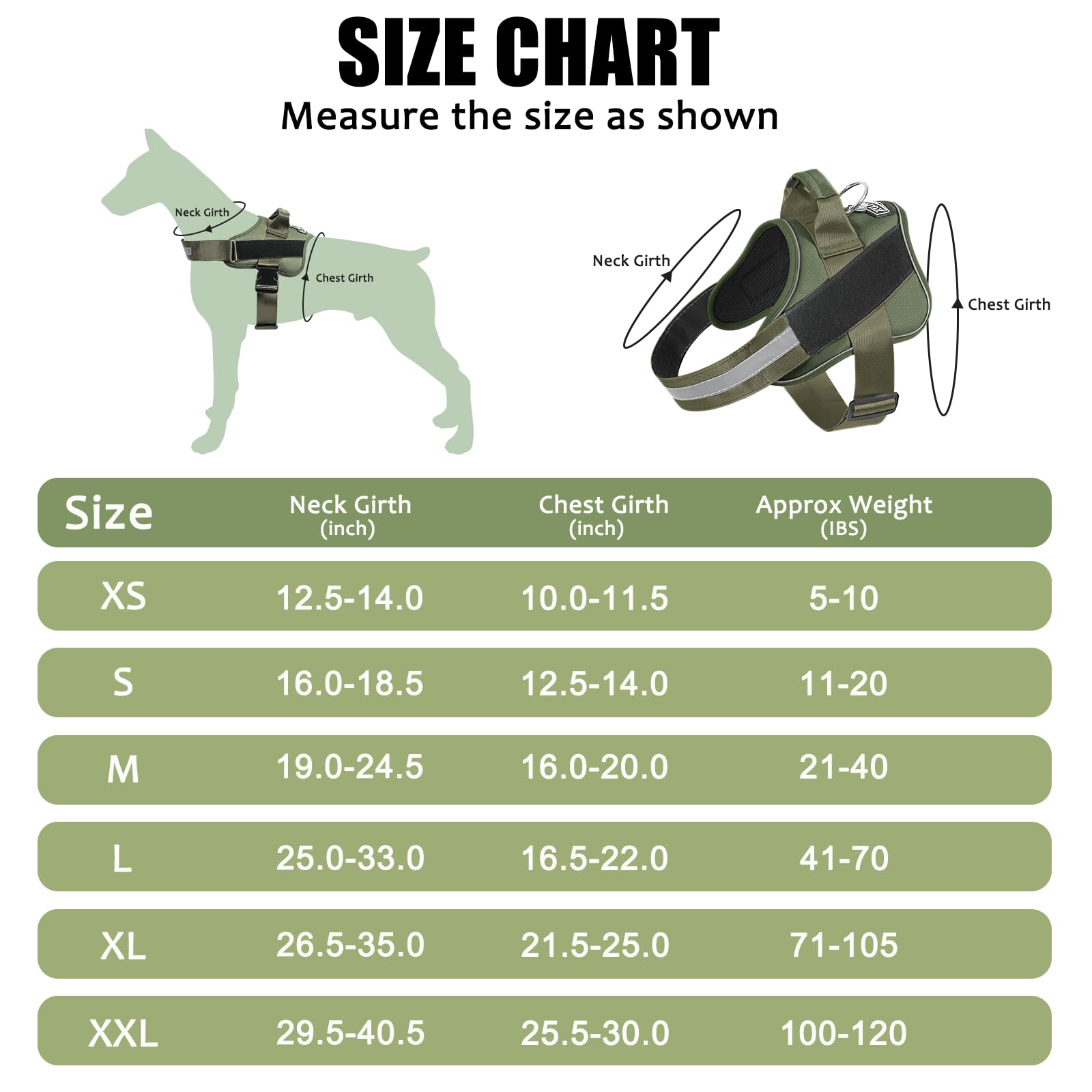 Bolux harness handle aids gentle control during crowded street walking.