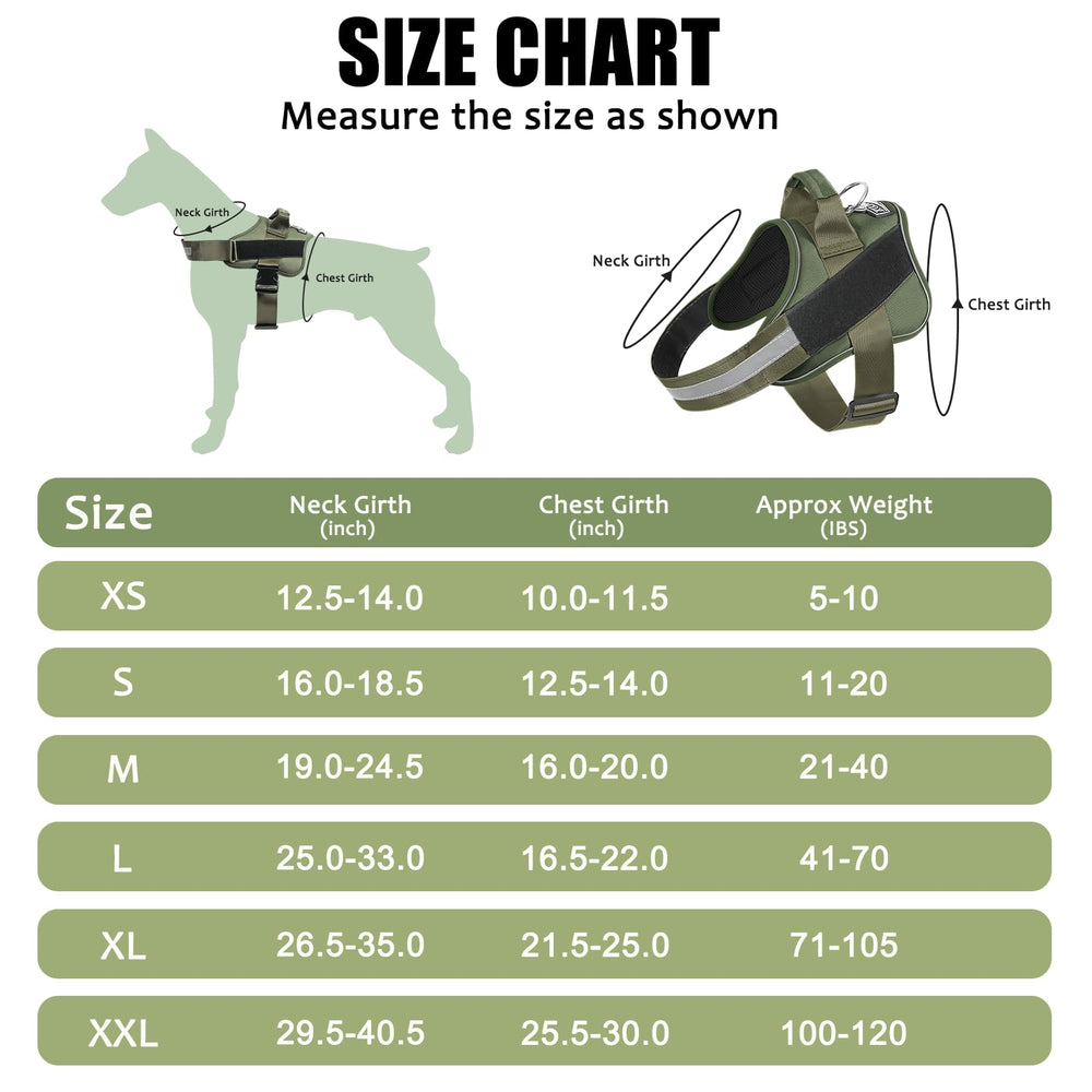 Bolux harness handle aids gentle control during crowded street walking.