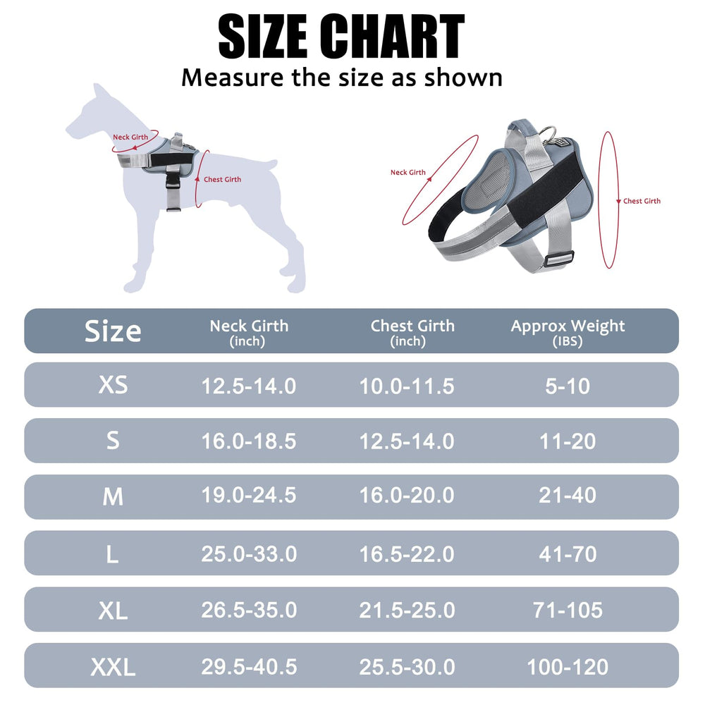 Bolux harness sturdy nylon handle for closer control on crowds.