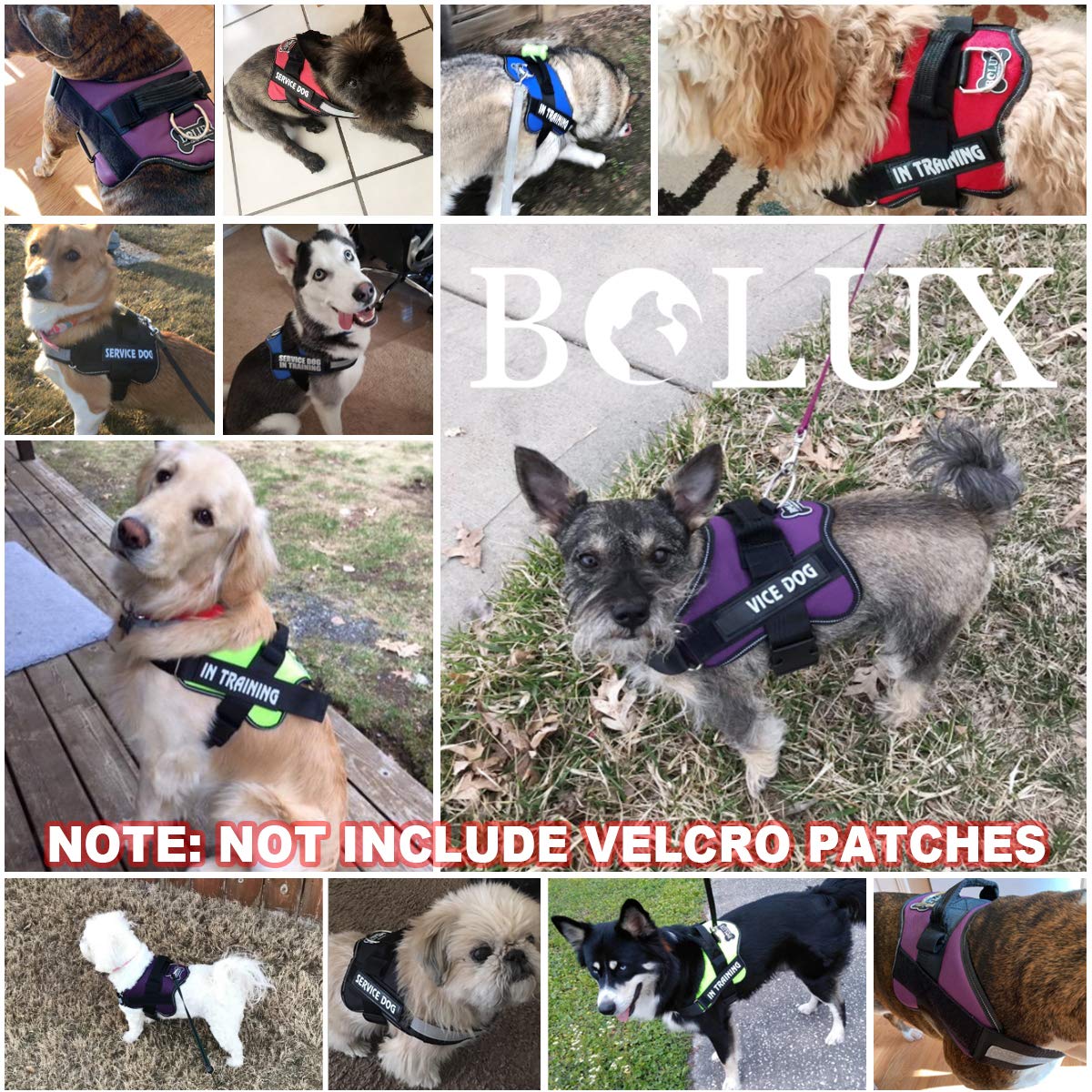 Bolux dog harness packaging shows size range and fit options.