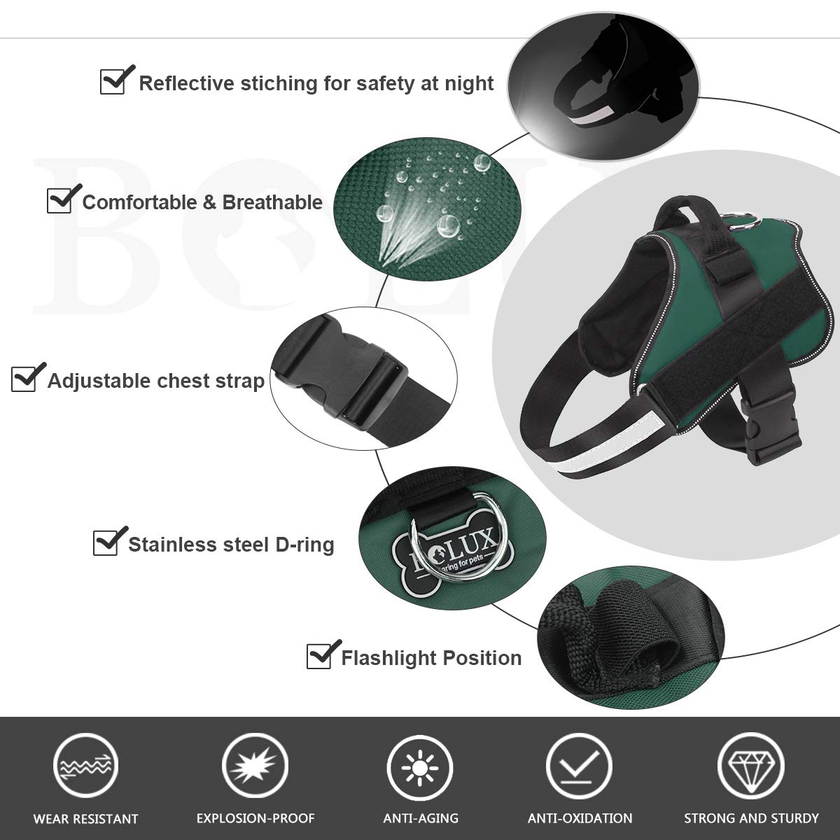 Bolux reflective straps provide nighttime visibility for safer outdoor adventures.