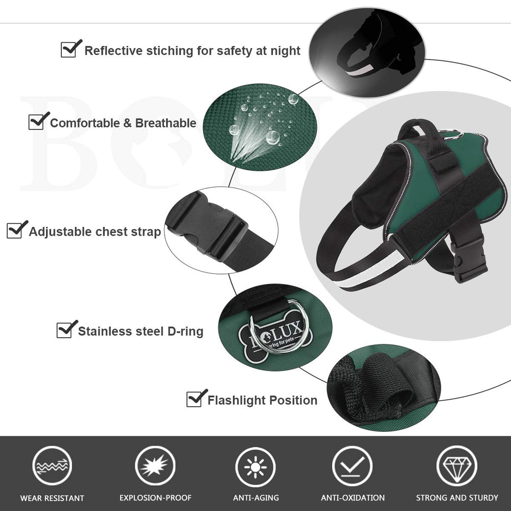 Bolux reflective straps provide nighttime visibility for safer outdoor adventures.