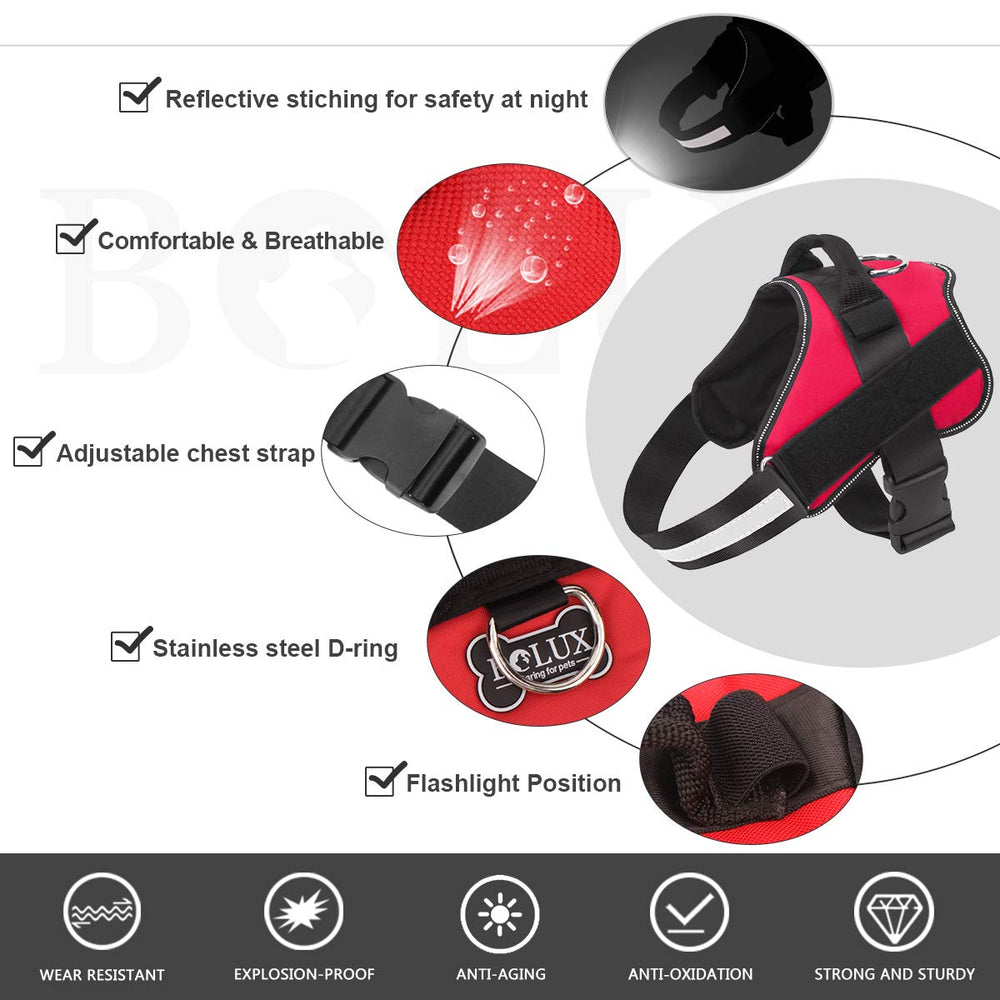 Bolux dog harness with reflective straps for safer night walking and high visibility.