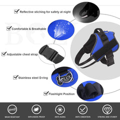 Bolux no-pull harness adjustable chest strap for secure fit.