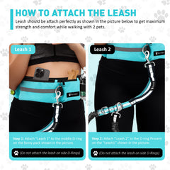 BONDESIR 360-rotating-clips prevent tangling while guiding two dogs smoothly.