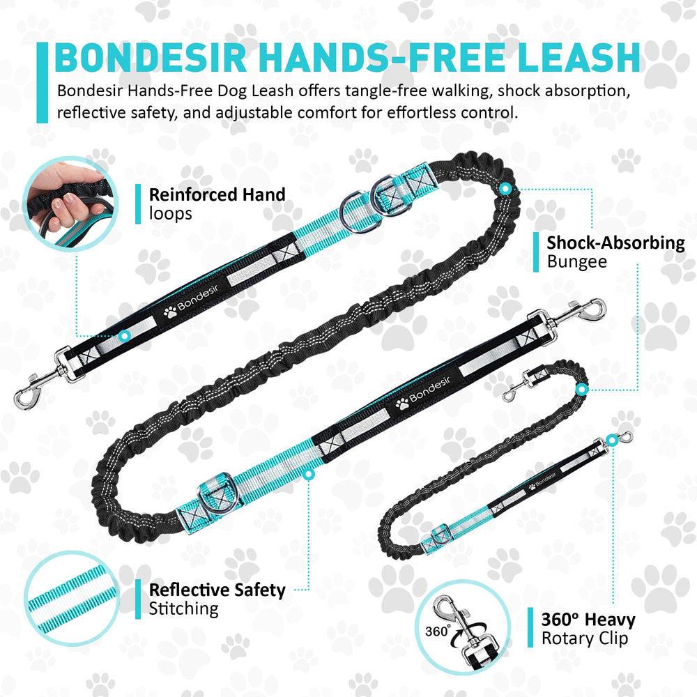 BONDESIR fanny-pack-dog-leash stores essentials while walking two dogs.