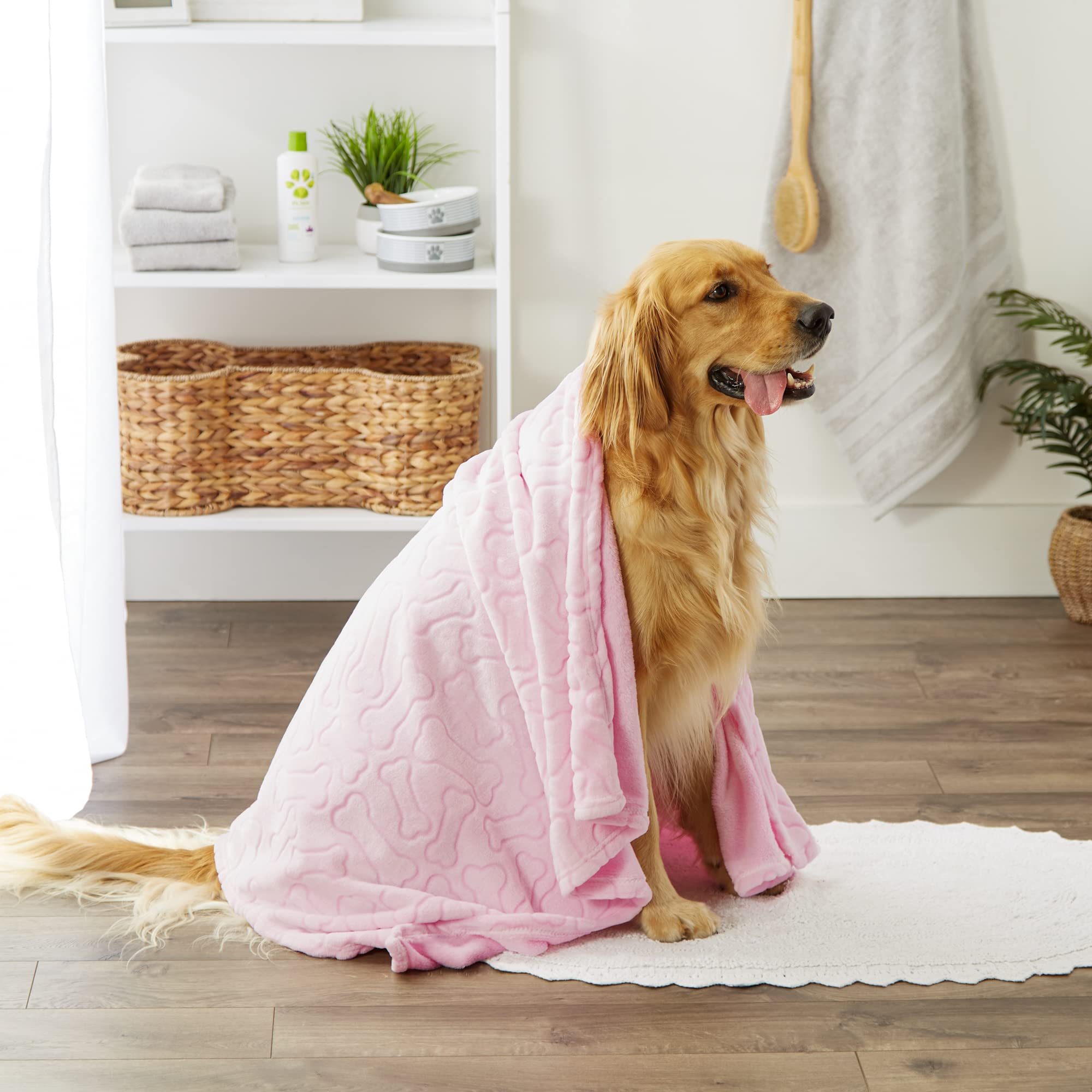 Pet kennel with Bone Dry blanket as cozy bedding.